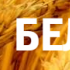 Белагро 2024